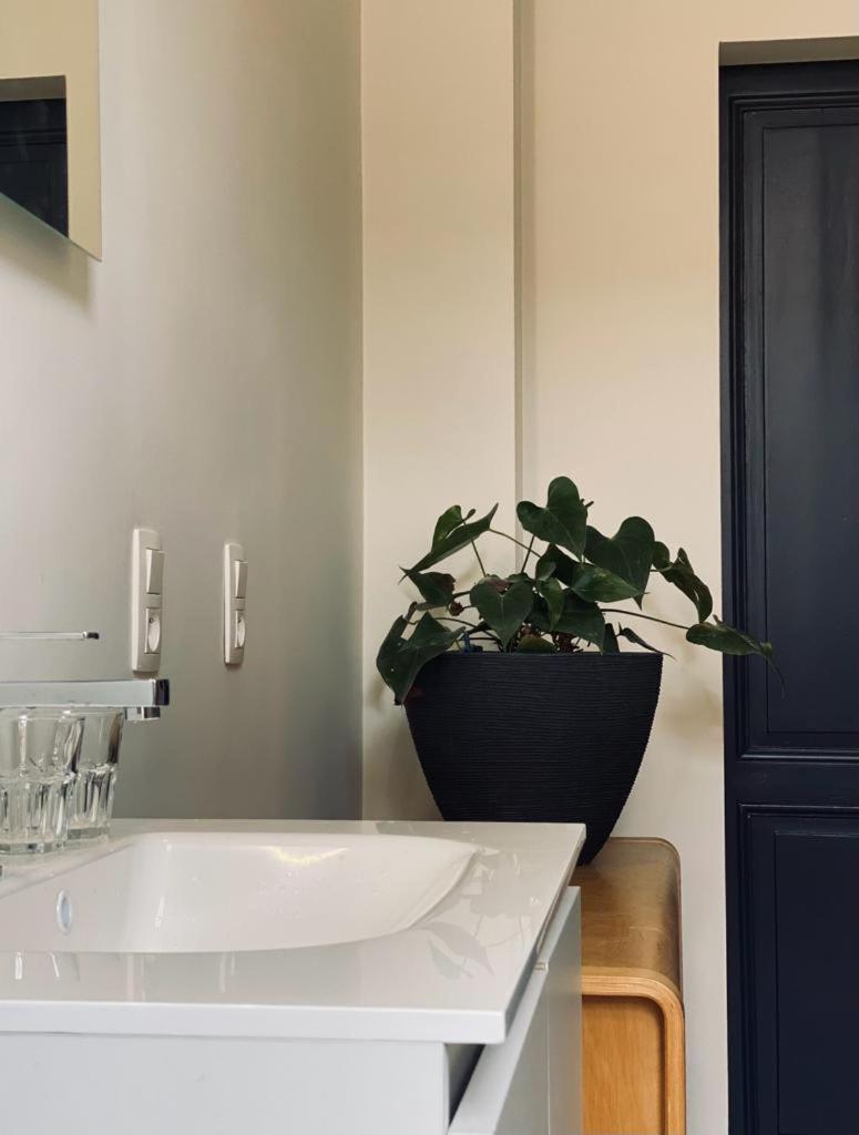 B&B Faja Lobi Gent Dış mekan fotoğraf